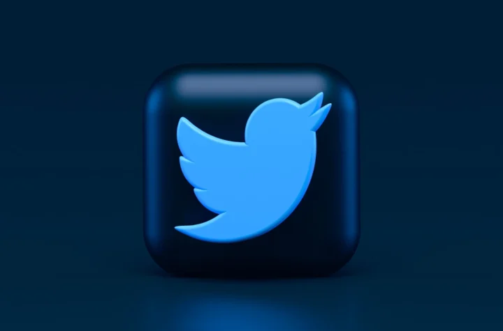 twitter app logo